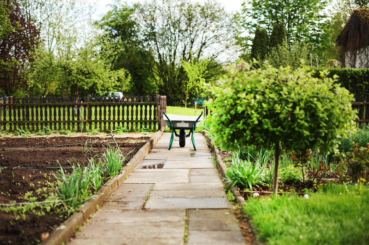 wheelbarrows, allotment, karrette-2157335.jpg