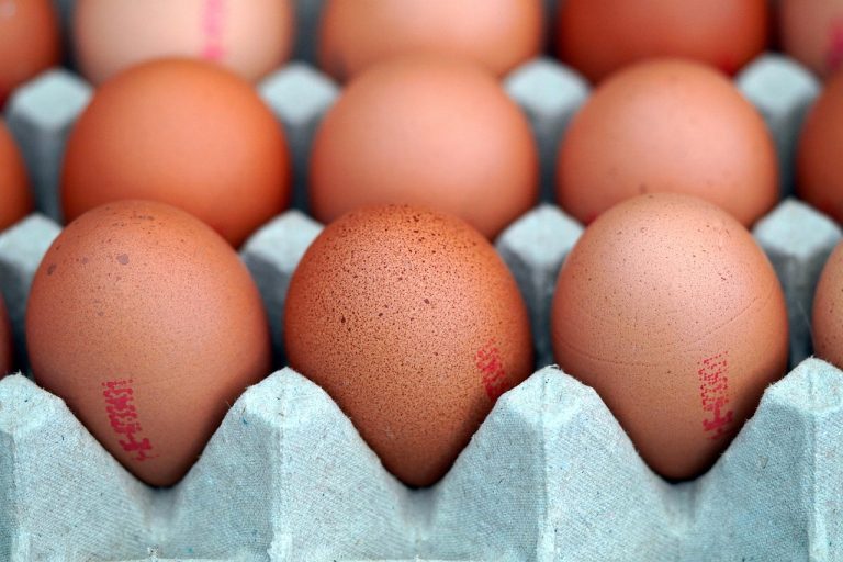 eggs, meal, food, egg crate, egg box, chicken eggs, farm yard, eggs, eggs, eggs, eggs, eggs, chicken eggs-7570512.jpg