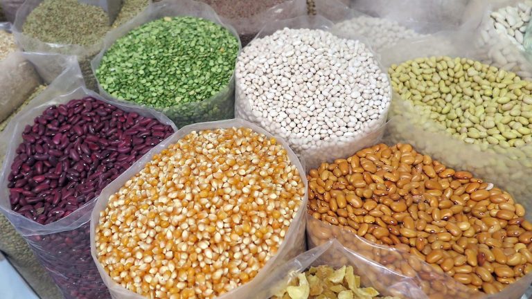 grain, corn, beans, seed, natural, healthy, cereal, fresh, vegetable, harvesting, health, food, farm, nature, grain, corn, corn, beans, beans, beans, beans, beans-563128.jpg