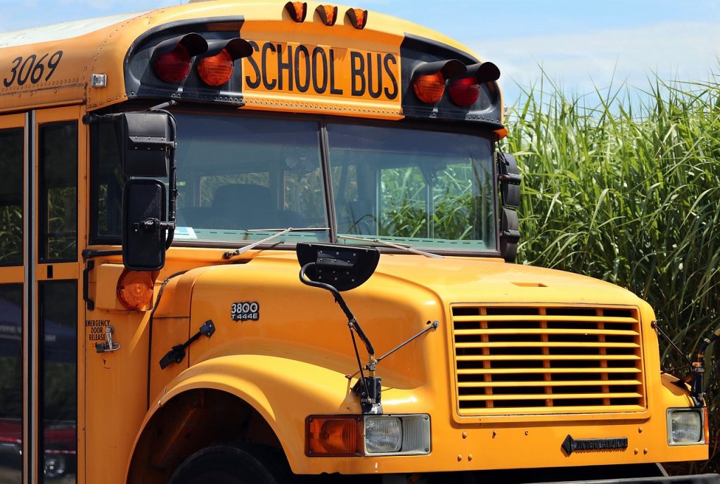 school bus, school, bus, transport, training, vehicle, yellow, back to school, to learn, school bus, school bus, school bus, school bus, school bus, bus, bus-4406479.jpg