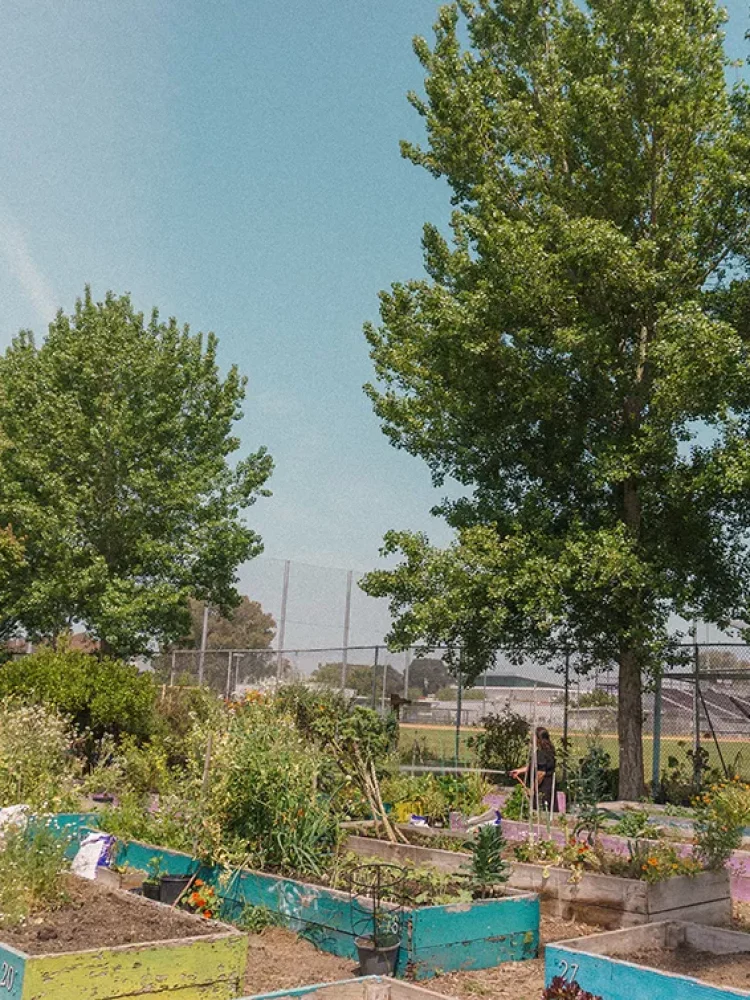 UrbanGardens_LosAngeles_Shahid.jpg