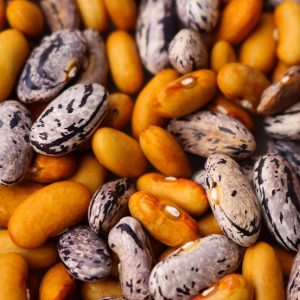 beans-haricot-dry-brown-raw-uncooked-natural-kitchen-seed-organic-vegetable-ingredient-white-brown-kitchen-brown-vegetables-haricot-haricot-haricot-haricot-haricot-1593833 beans, haricot, dry, brown, raw, uncooked, natural, kitchen, seed, organic, vegetable, ingredient, white, brown kitchen, brown vegetables, haricot, haricot, haricot, haricot, haricot-1593833.jpg